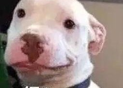 娱乐圈吃瓜公众号微信,揭秘那些不为人知的幕后故事！